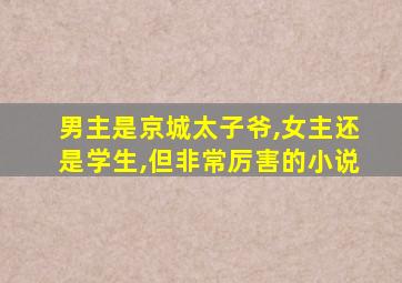 男主是京城太子爷,女主还是学生,但非常厉害的小说