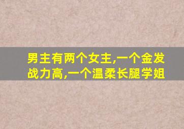 男主有两个女主,一个金发战力高,一个温柔长腿学姐