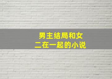 男主结局和女二在一起的小说