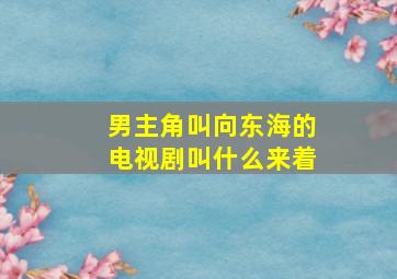 男主角叫向东海的电视剧叫什么来着