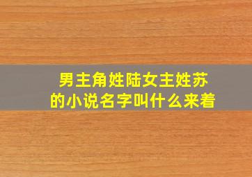 男主角姓陆女主姓苏的小说名字叫什么来着