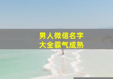 男人微信名字大全霸气成熟