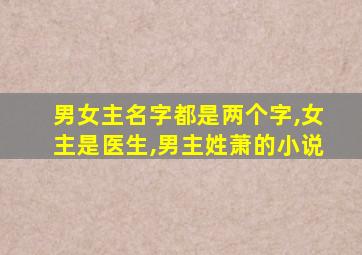 男女主名字都是两个字,女主是医生,男主姓萧的小说