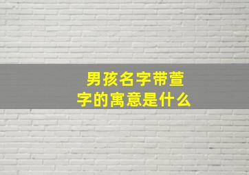 男孩名字带萱字的寓意是什么