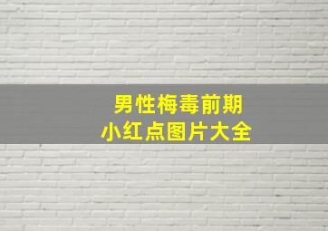 男性梅毒前期小红点图片大全