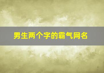 男生两个字的霸气网名