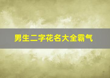 男生二字花名大全霸气