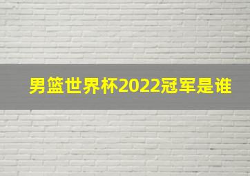 男篮世界杯2022冠军是谁