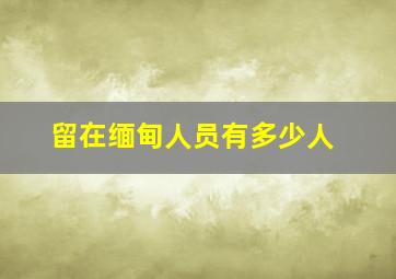 留在缅甸人员有多少人