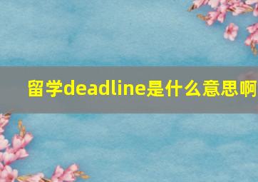 留学deadline是什么意思啊