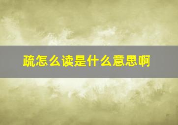 疏怎么读是什么意思啊