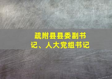 疏附县县委副书记、人大党组书记