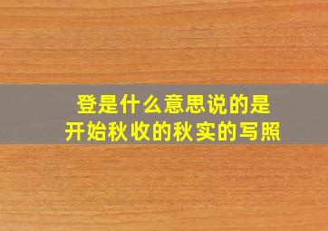 登是什么意思说的是开始秋收的秋实的写照