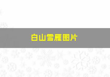 白山雪雁图片