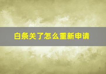 白条关了怎么重新申请