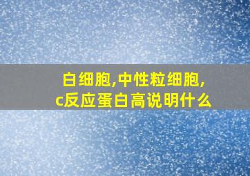 白细胞,中性粒细胞,c反应蛋白高说明什么