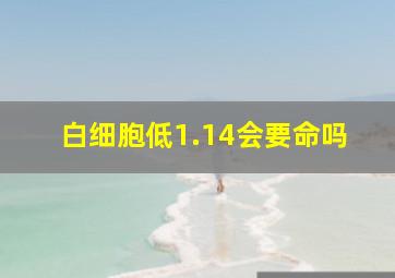 白细胞低1.14会要命吗