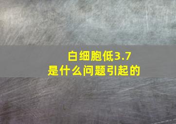 白细胞低3.7是什么问题引起的