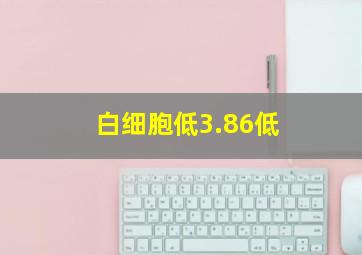 白细胞低3.86低