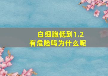 白细胞低到1.2有危险吗为什么呢