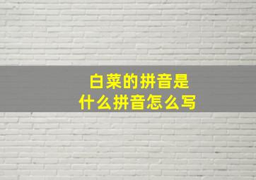 白菜的拼音是什么拼音怎么写