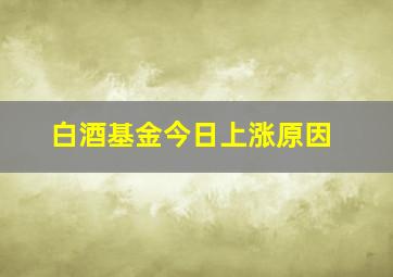 白酒基金今日上涨原因