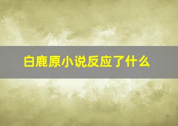 白鹿原小说反应了什么