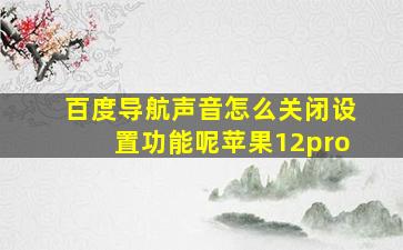 百度导航声音怎么关闭设置功能呢苹果12pro