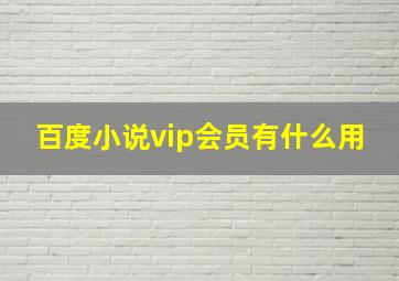 百度小说vip会员有什么用