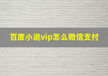 百度小说vip怎么微信支付