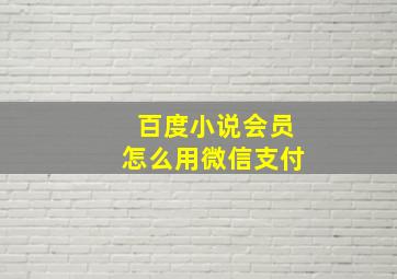 百度小说会员怎么用微信支付