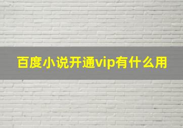 百度小说开通vip有什么用