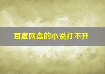 百度网盘的小说打不开