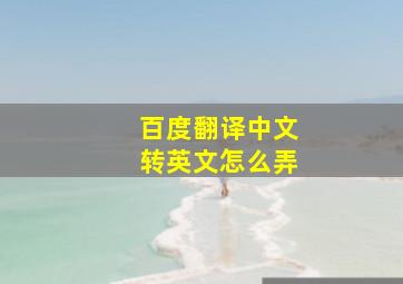 百度翻译中文转英文怎么弄