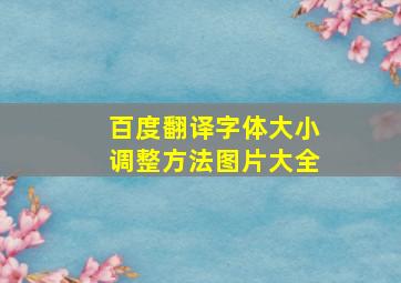 百度翻译字体大小调整方法图片大全