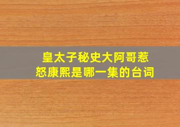 皇太子秘史大阿哥惹怒康熙是哪一集的台词