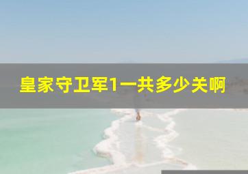 皇家守卫军1一共多少关啊