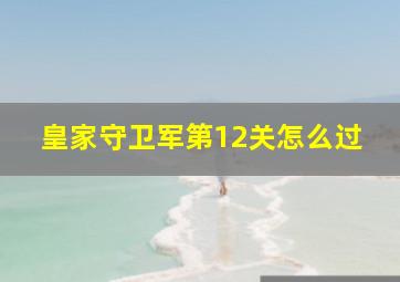 皇家守卫军第12关怎么过