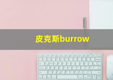 皮克斯burrow