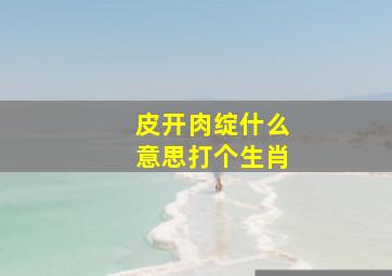 皮开肉绽什么意思打个生肖