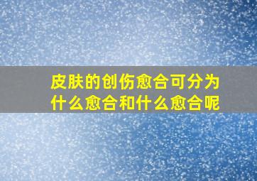 皮肤的创伤愈合可分为什么愈合和什么愈合呢