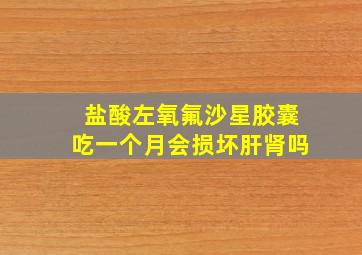 盐酸左氧氟沙星胶囊吃一个月会损坏肝肾吗