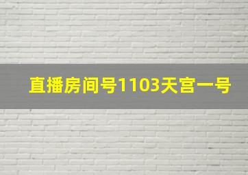 直播房间号1103天宫一号