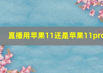 直播用苹果11还是苹果11pro