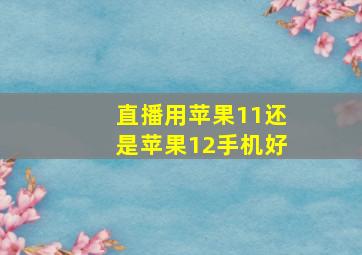 直播用苹果11还是苹果12手机好