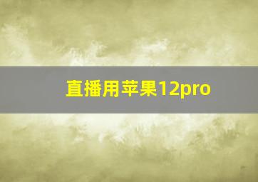 直播用苹果12pro