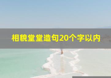 相貌堂堂造句20个字以内