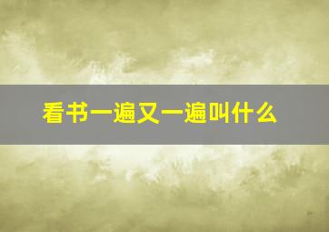 看书一遍又一遍叫什么