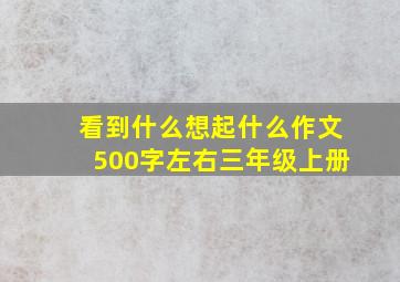 看到什么想起什么作文500字左右三年级上册