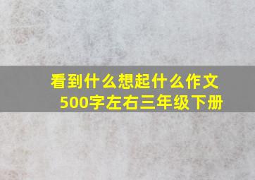 看到什么想起什么作文500字左右三年级下册